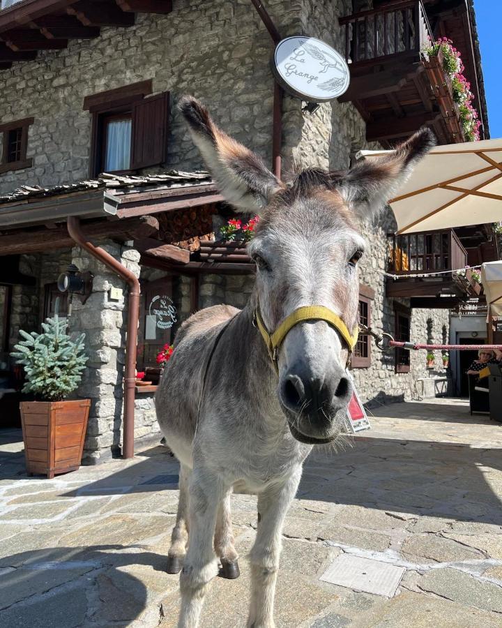 Hotel La Grange Courmayeur Extérieur photo